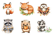 Woodland Animals Png, Cute Baby, an Illustration by CreationArt (Thumbnail 3 of 5)