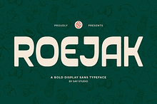 Bold Condensed Sans Font - Roejak