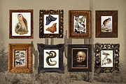 The Warrior Template Bundle, a Social Media Template by The Flossy Finch (Thumbnail 16 of 24)