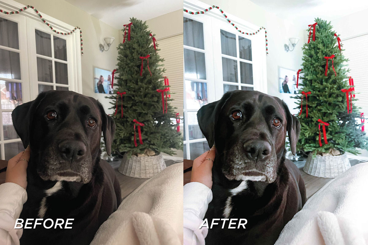15 Christmas Lightroom Presets, a Preset Add-On by TheWayfarerShoppe (Photo 9 of 9)