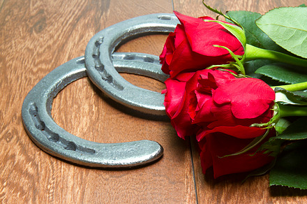Kentucky Derby Red Roses, a Sports & Recreation Photo by karenfoleyphoto