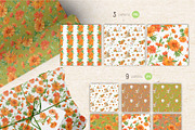 Solar Calendula. Watercolor set, an Illustration by Tata Pilip (Thumbnail 6 of 7)
