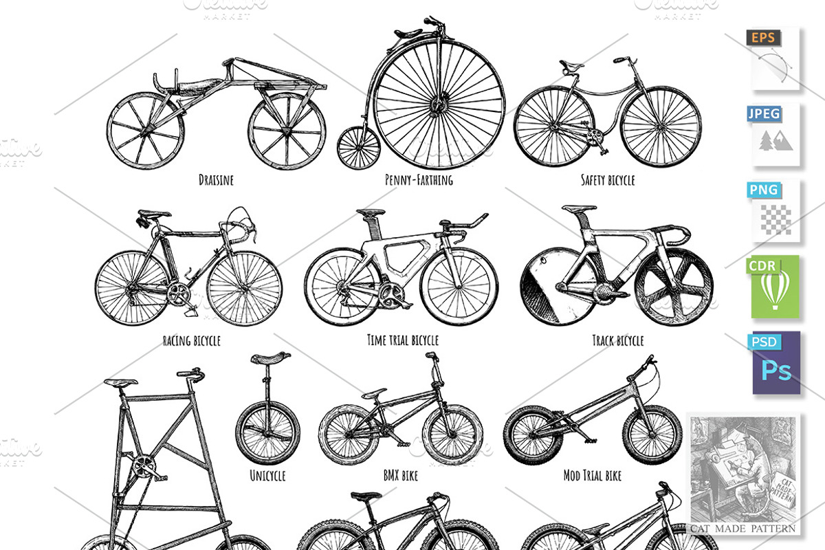 Types of bikes, an Object Illustration by CatMadePattern