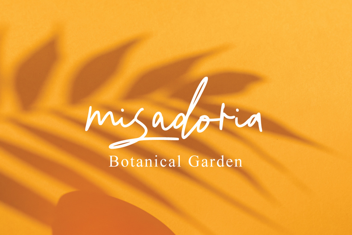 Sesoress - Handwritten Signature, a Handwritten Font by tebaltipislab (Photo 6 of 8)