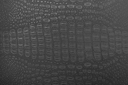 Black crocodile leather texture featuring crocodile, leather, and white, an Abstract Photo by Eugene_Photo