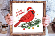 Merry Christmas Cardinal Hand-Drawn, an Illustration by SinaCreation (Thumbnail 2 of 7)