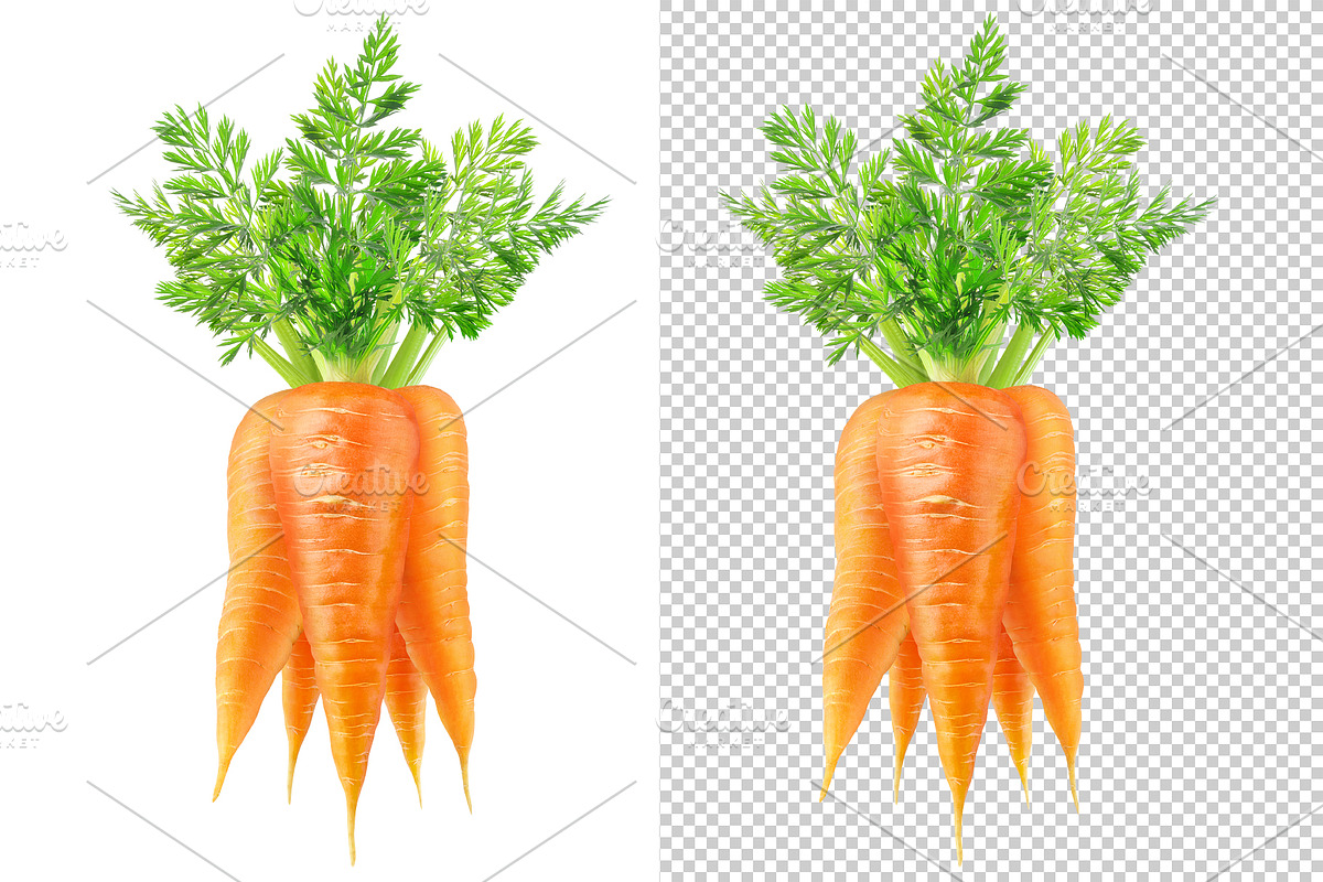 Bunch of carrots, an Object Graphic by Fruits+Veggies (Photo 2 of 4)