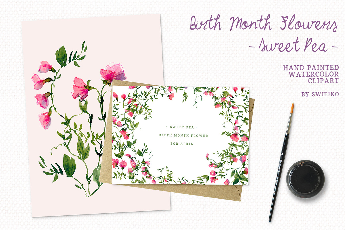 Sweet Pea clipart, birthmonth flower, a Decorative Illustration by swiejko (Photo 5 of 5)