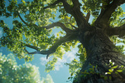 98 Trees view from below, a Nature Photo by Handmadefont (Thumbnail 15 of 98)