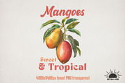 Vintage Fruits Sublimation Bundle, an Object Graphic by GlitterCraft (Thumbnail 17 of 21)