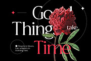 Astranala Modern Elegant Serif Font, a Serif Font by Vadovastd (Thumbnail 3 of 7)
