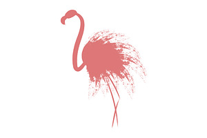 Pink Flamingo.