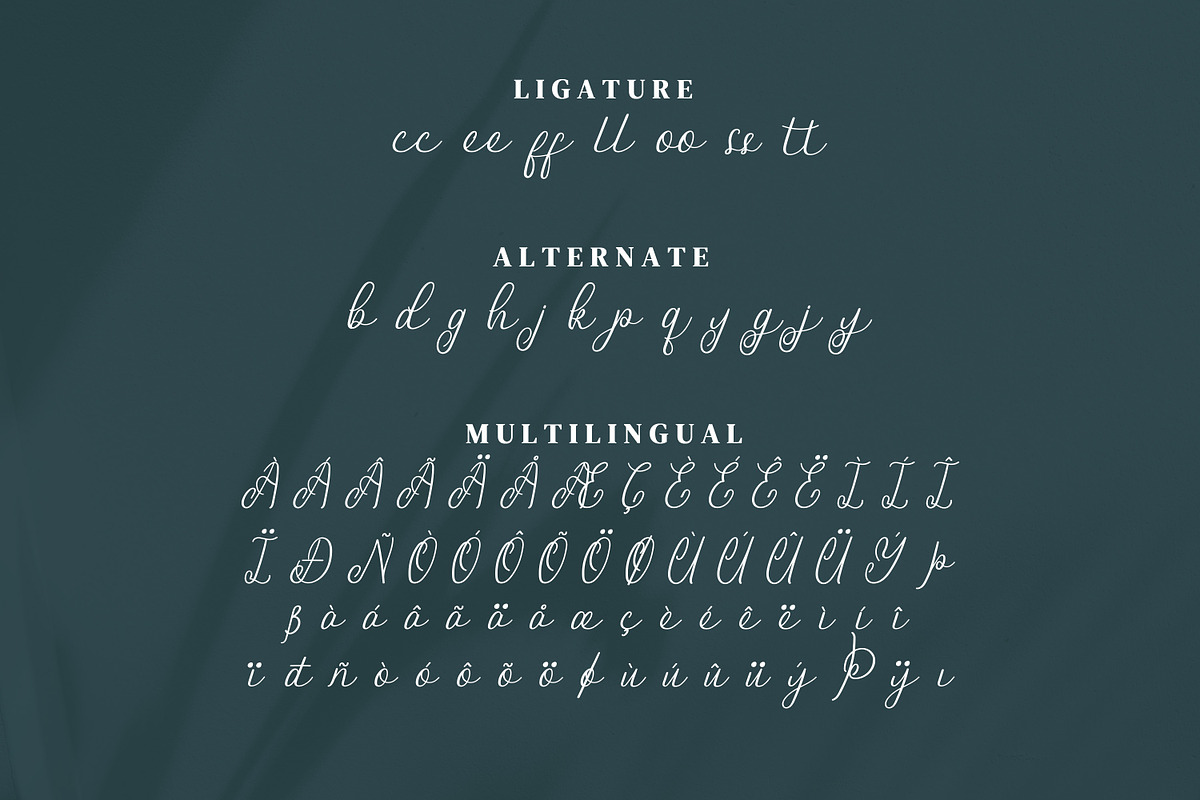 Offsite Script Fonts, a Script Font by mahstudios (Photo 13 of 15)