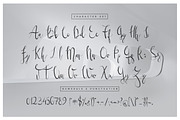 Wonderland Fonts Pack & Branding Kit, a Script Font by Graphicdome (Thumbnail 79 of 118)