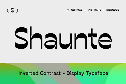 Shaunte Display, a Sans Serif Font by Seniors