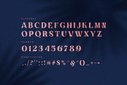 Kinsley Elegant Serif Font, a Serif Font by Graphicxell (Thumbnail 10 of 10)