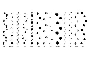 Animals footprint tracks. Chains of, an Animal Illustration by Vectorbuum