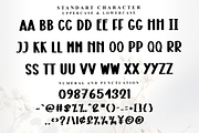 Continue, a Script Font by FreshTypeINK (Thumbnail 2 of 8)