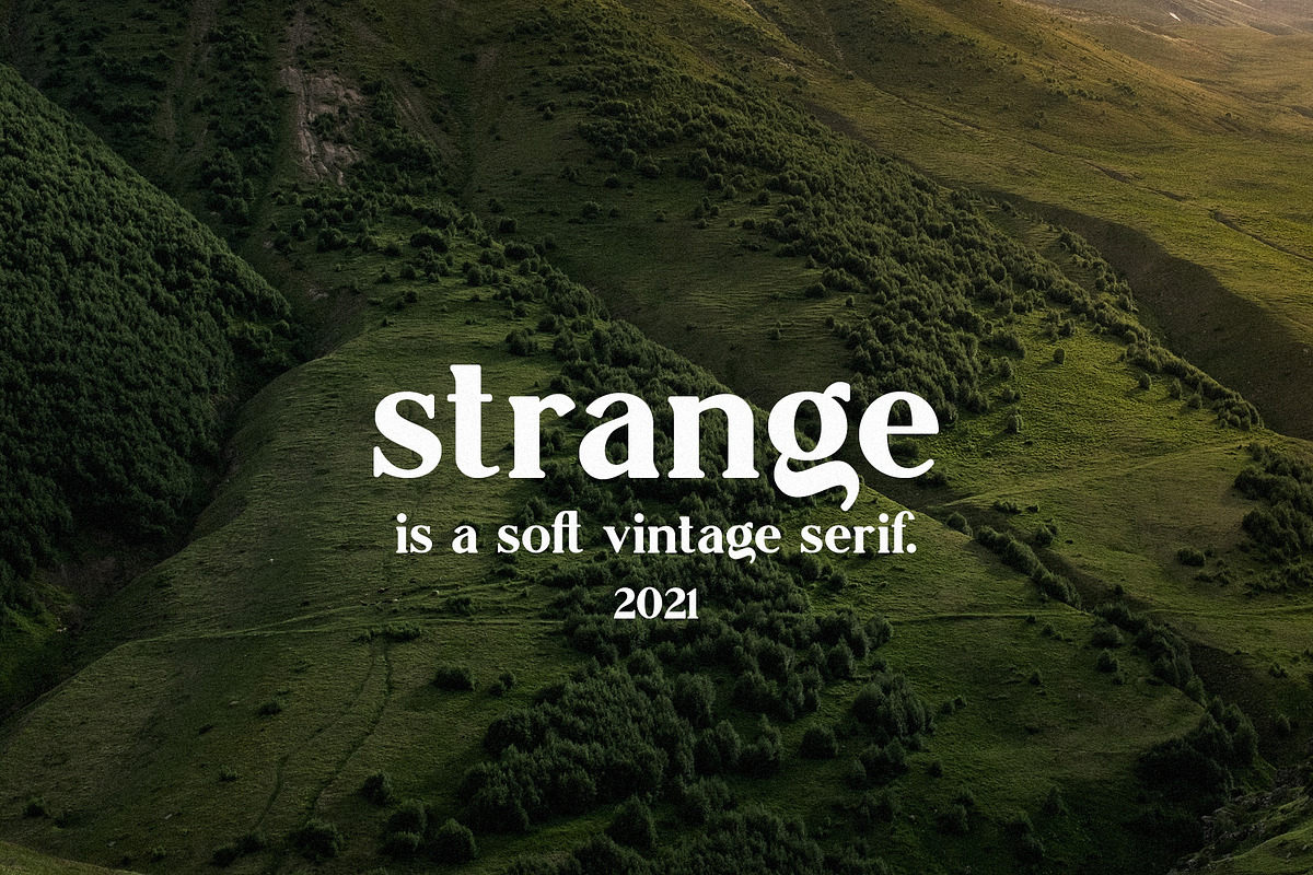 Strange - Soft Serif, a Serif Font by Mikhail Kitsune (Photo 2 of 11)