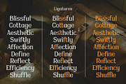 Miss Testa, a Sans Serif Font by Nathatype (Thumbnail 7 of 11)