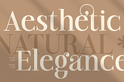 Branck - Modern Luxury Logo Font, a Serif Font by Sensatype (Thumbnail 9 of 12)