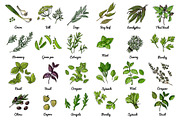 Vector food: vegetables and fruits, a Food Illustration by irina.vaneeva (Thumbnail 6 of 16)