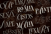 Dh Alista Aghni - 7 Serif Family, a Serif Font by Dharmas Foundry (Thumbnail 7 of 16)