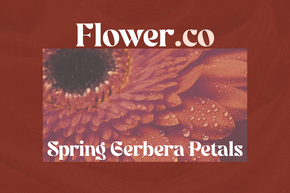 Sableklish - Unique Serif Display, a Serif Font by Mokatype Studio (Photo 7 of 10)