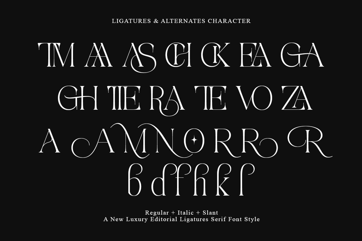 Aviluero Rasnora | 27 Font Files, a Serif Font by IM Studio (Photo 13 of 13)