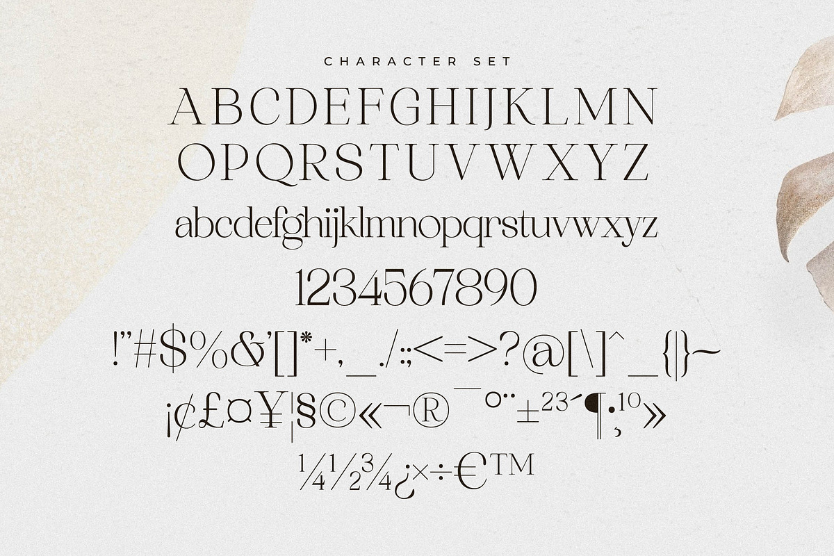 Asthelica Questak Modern Font Duo, a Serif Font by Storytype Studio (Photo 13 of 15)