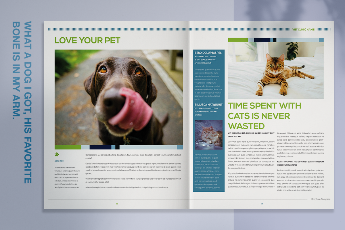Veterinary Clinic Brochure, a Brochure Template by Boris Cupac (Photo 7 of 11)