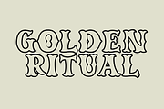 Caskford Hollow, a Serif Font by Dm Studio (Thumbnail 8 of 10)