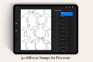 50 Flamingo Procreate Stamps