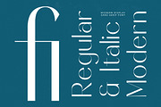 Sunveil Orange Modern Display Font, a Sans Serif Font by timelesstype.co (Thumbnail 9 of 20)