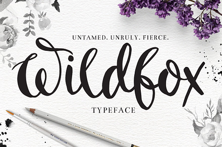 "Wildfox" Typeface-Hand drawn font