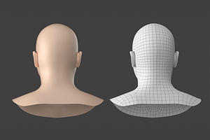 Natural Male Head 02 Generic Mesh