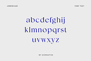 Distrampler Luxury Serif Font, a Serif Font by UICreative (Thumbnail 12 of 13)