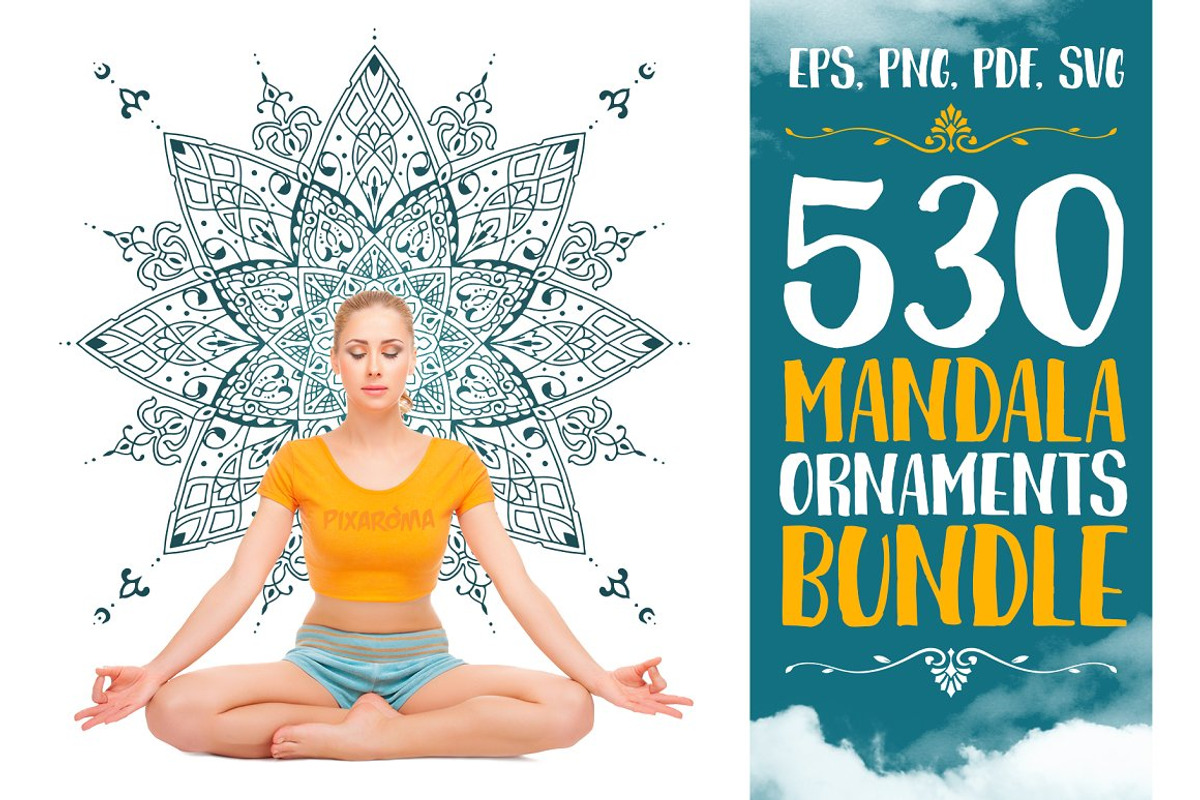530 Vector Mandala Ornaments, an Animal Illustration by pixaroma (Photo 1 of 55)