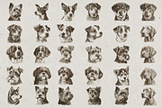 Dog Breeds Portrait Illustrations, an Animal Illustration by Nocturnal Wolf (Thumbnail 10 of 12)