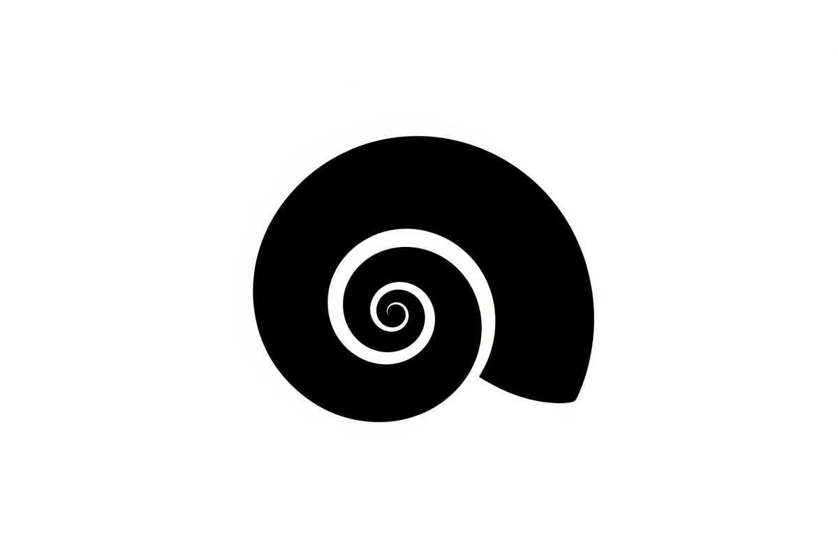 Spiral Seashell SVG Bundle, an Illustration by Gaye Art (Photo 20 of 31)