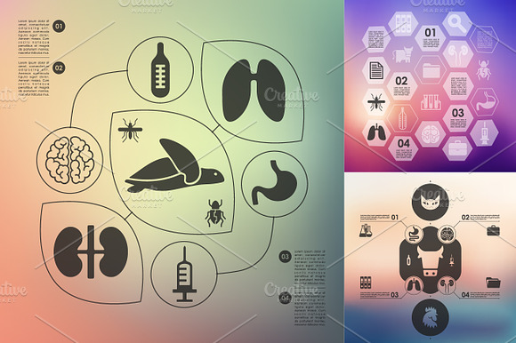 9 Veterinary Infographic