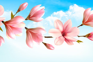 Nature Background With Magnolia