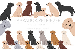 Labrador Retriever Clipart