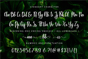 Mouley, a Script Font by NendesKombet Studio (Thumbnail 6 of 6)