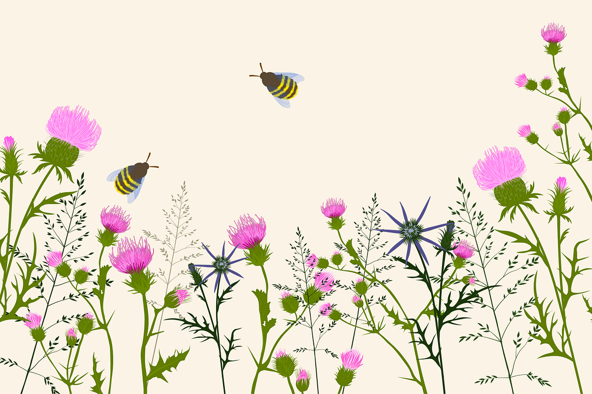 Thistle - meadow flower, an Illustration by MariiaVasilenko (Photo 1 of 6)