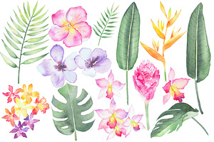 Tropical Flora, Watercolor Clipart