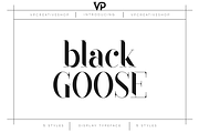 Black Goose Typeface - 5 fonts, a Serif Font by VP Fonts (Thumbnail 1 of 15)