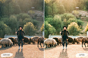 10 Sunlit Meadow Lightroom Presets, a Preset Add-On by LucaTheme (Thumbnail 5 of 9)