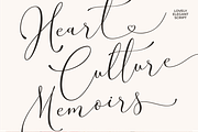 Silver Future - Romantic Script, a Script Font by Sans & Sons (Thumbnail 5 of 7)