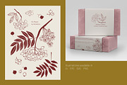 It's Autumn - fruits and foliage, a Seasonal Illustration by Annakniaz (Thumbnail 11 of 15)